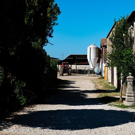 Dimora Iannelli - B&B Rurale Paestum Extérieur photo