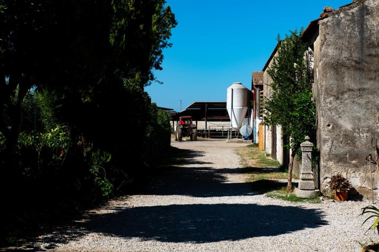 Dimora Iannelli - B&B Rurale Paestum Extérieur photo